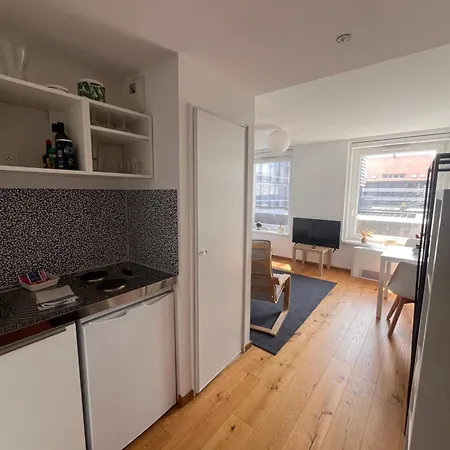 Des Halles, Centre Ville, Tram 1 Min Appartement